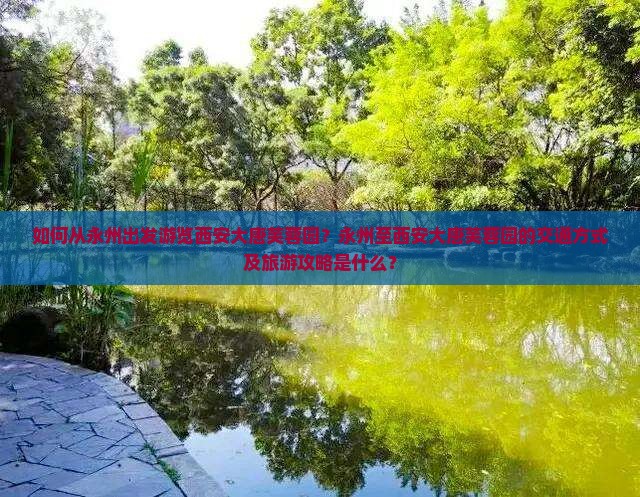 如何从永州出发游览西安大唐芙蓉园？永州至西安大唐芙蓉园的交通方式及旅游攻略是什么？