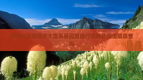 鄂州出发游西安大唐芙蓉园自由行攻略及团组信息查询