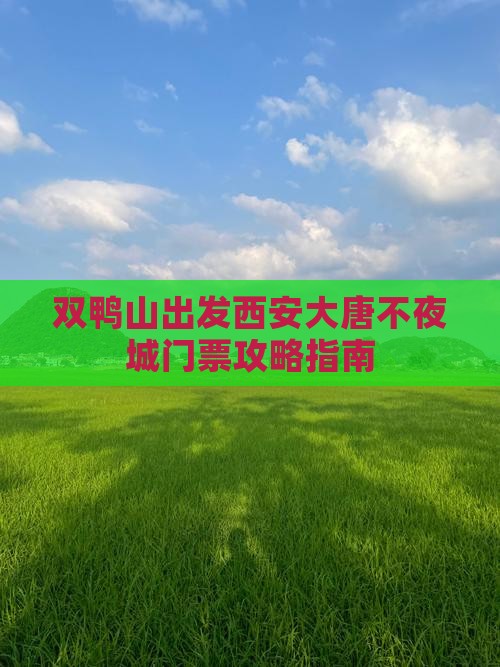 双鸭山出发西安大唐不夜城门票攻略指南