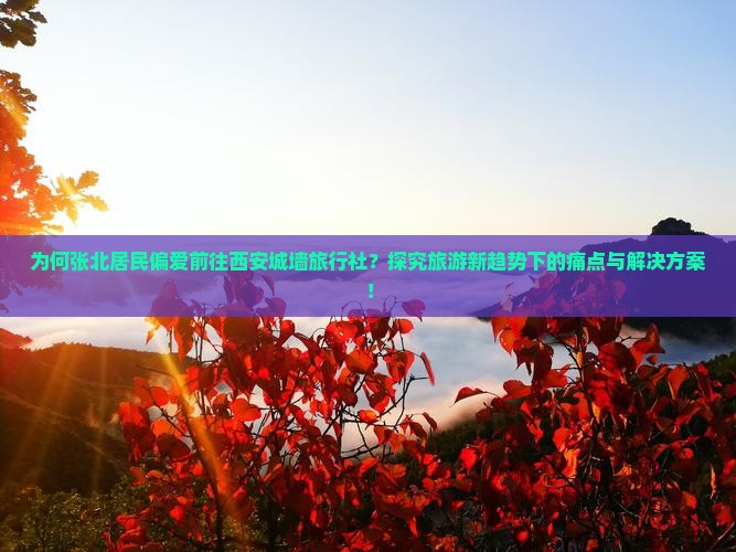 为何张北居民偏爱前往西安城墙旅行社？探究旅游新趋势下的痛点与解决方案！