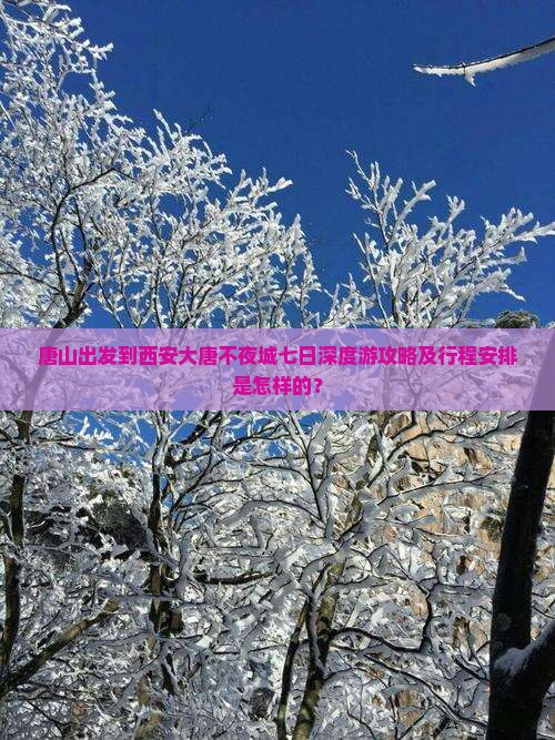 唐山出发到西安大唐不夜城七日深度游攻略及行程安排是怎样的？