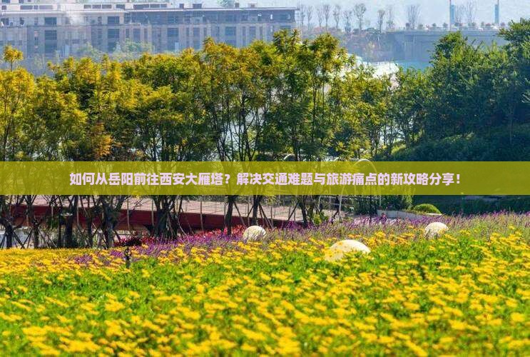 如何从岳阳前往西安大雁塔？解决交通难题与旅游痛点的新攻略分享！