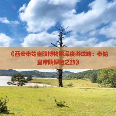 《西安秦始皇陵博物院深度游攻略：秦始皇帝陵探险之旅》