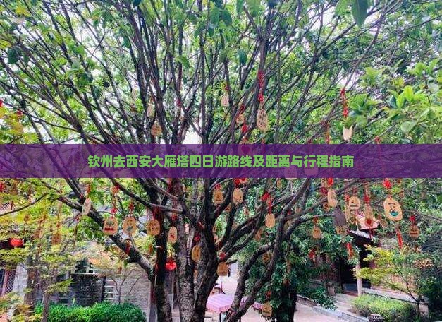 钦州去西安大雁塔四日游路线及距离与行程指南