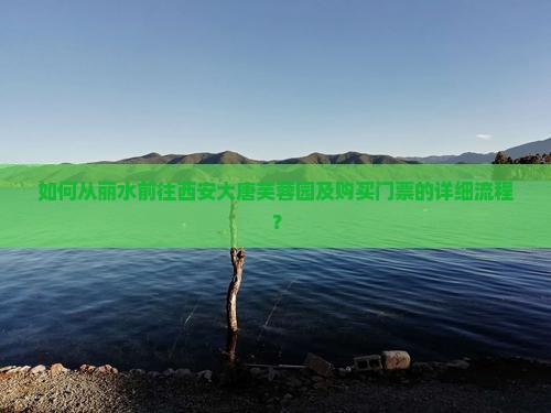 如何从丽水前往西安大唐芙蓉园及购买门票的详细流程？
