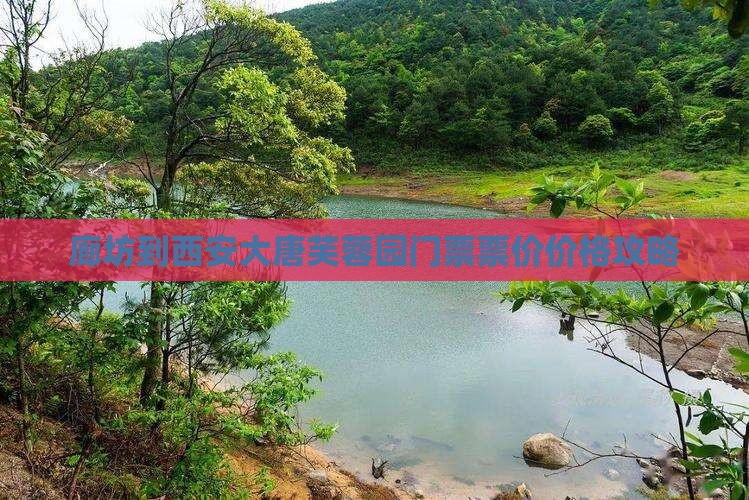 廊坊到西安大唐芙蓉园门票票价价格攻略