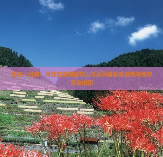 西安一日游：河池出发探秘华山与兵马俑秦始皇帝陵博物院自由团