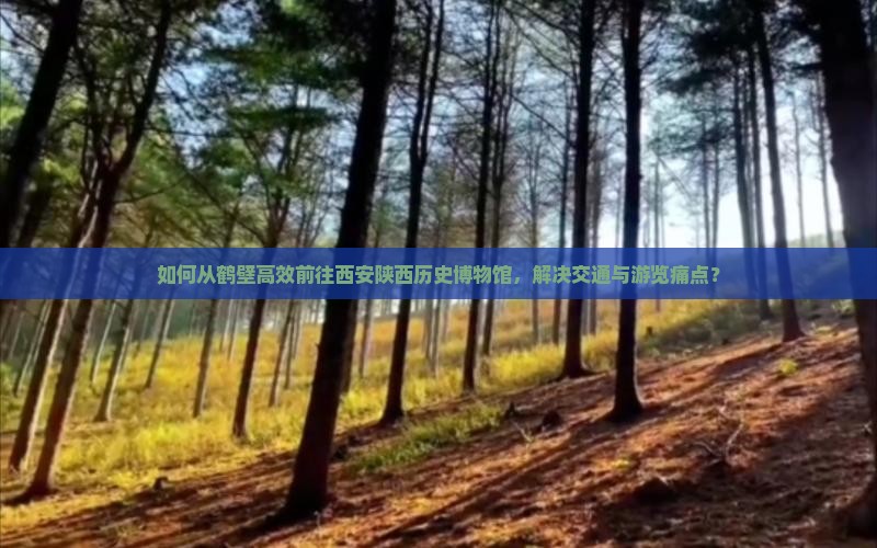 如何从鹤壁高效前往西安陕西历史博物馆，解决交通与游览痛点？