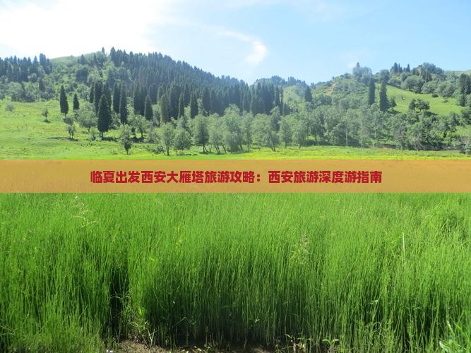 临夏出发西安大雁塔旅游攻略：西安旅游深度游指南