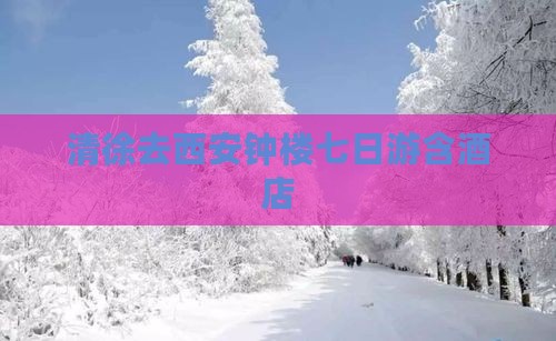清徐去西安钟楼七日游含酒店