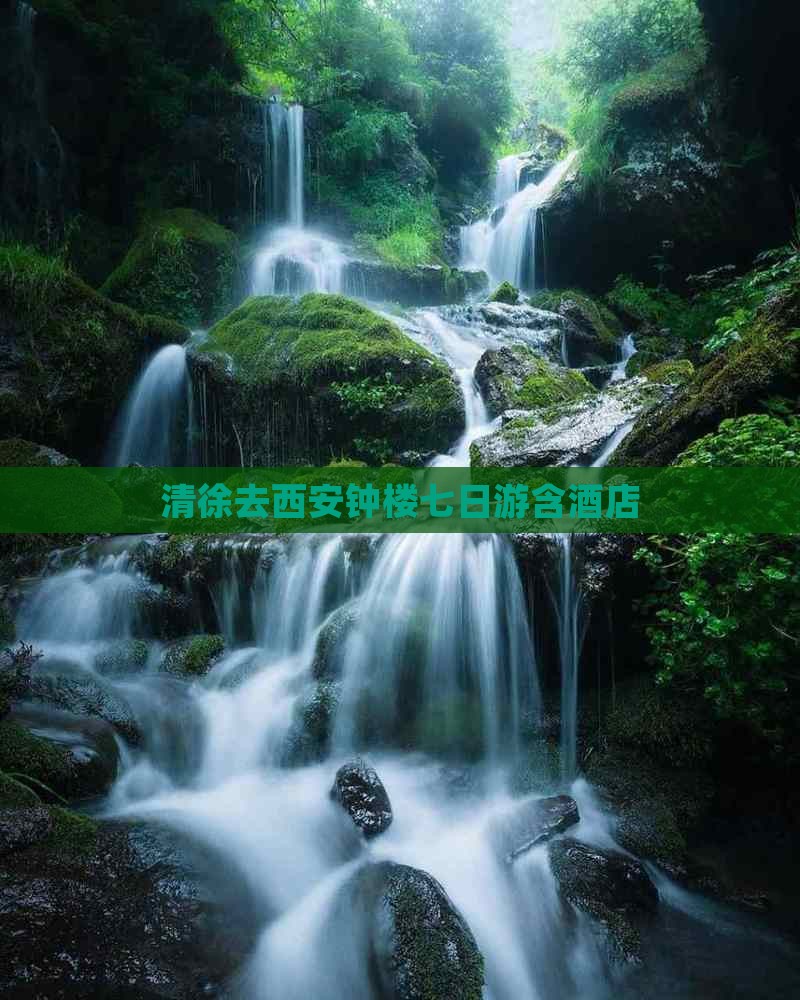 清徐去西安钟楼七日游含酒店