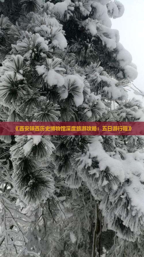《西安陕西历史博物馆深度旅游攻略：五日游行程》