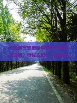 大连到西安秦始皇帝陵博物院四日游？行程太赶？不妨试试这波逆向旅游新玩法