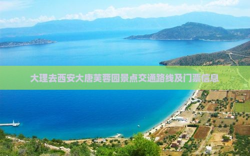 大理去西安大唐芙蓉园景点交通路线及门票信息