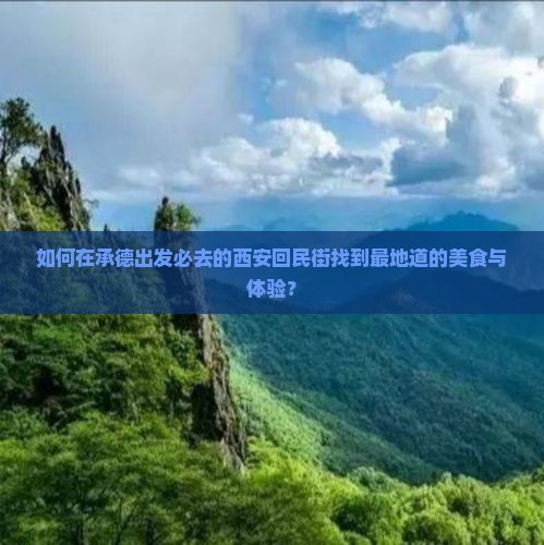 如何在承德出发必去的西安回民街找到最地道的美食与体验？