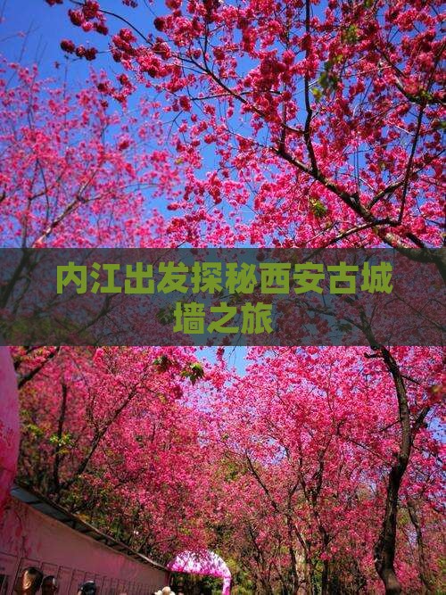 内江出发探秘西安古城墙之旅