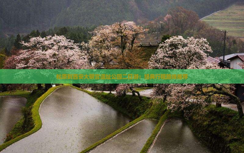 松原到西安大明宫遗址公园二日游：经典行程路线推荐