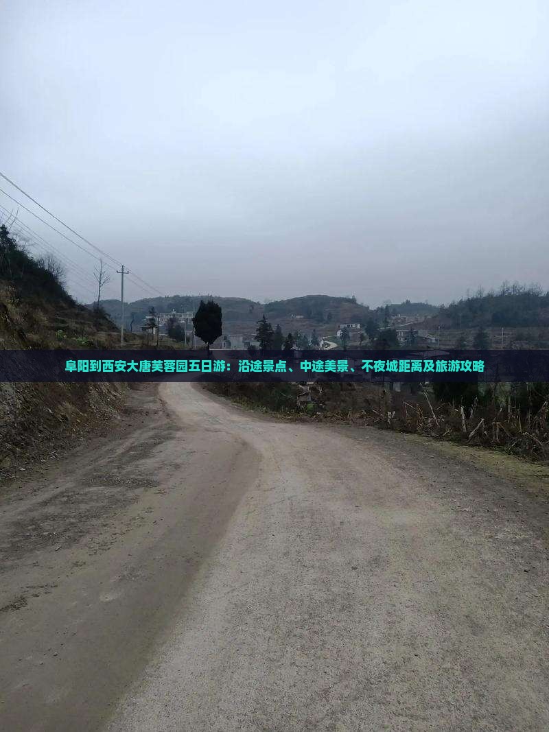 阜阳到西安大唐芙蓉园五日游：沿途景点、中途美景、不夜城距离及旅游攻略