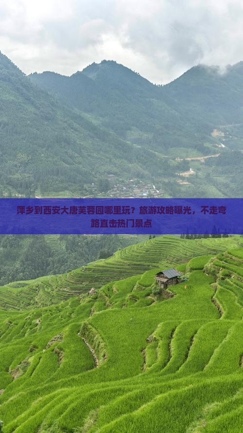 萍乡到西安大唐芙蓉园哪里玩？旅游攻略曝光，不走弯路直击热门景点