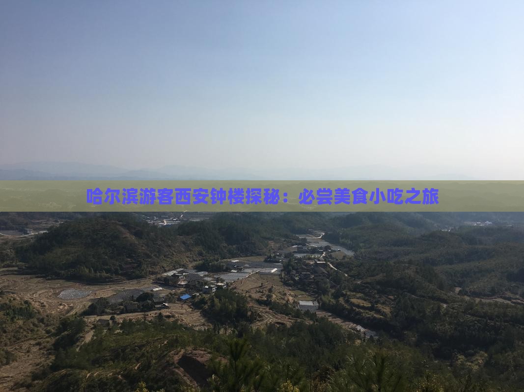 哈尔滨游客西安钟楼探秘：必尝美食小吃之旅