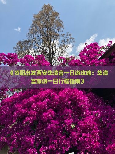 《资阳出发西安华清宫一日游攻略：华清宫旅游一日行程指南》
