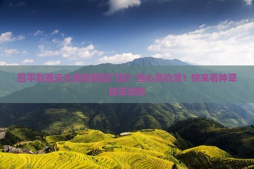 四平到西安大唐芙蓉园门票？担心票价贵？快来看种草拔草攻略