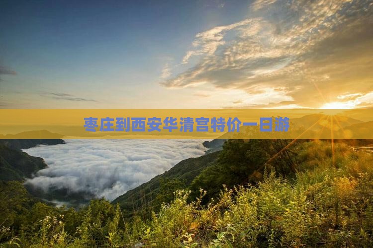 枣庄到西安华清宫特价一日游