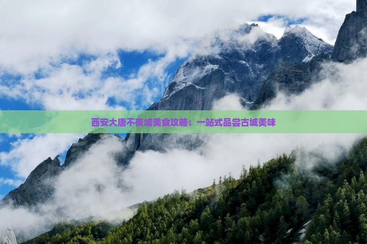 西安大唐不夜城美食攻略：一站式品尝古城美味