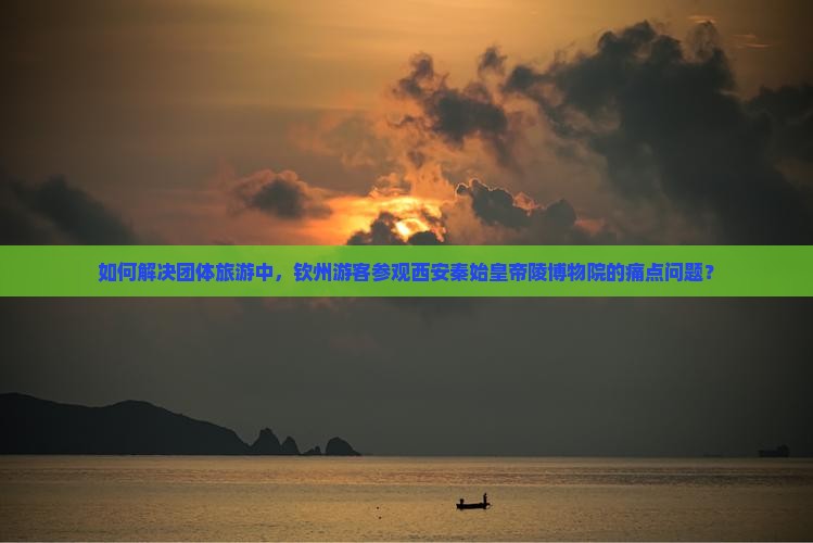 如何解决团体旅游中，钦州游客参观西安秦始皇帝陵博物院的痛点问题？