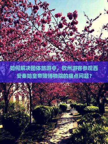 如何解决团体旅游中，钦州游客参观西安秦始皇帝陵博物院的痛点问题？