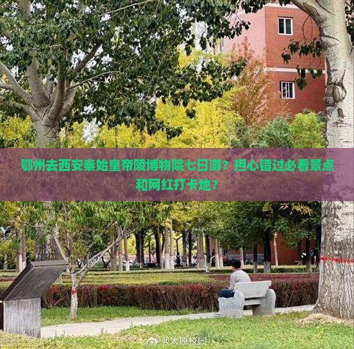 鄂州去西安秦始皇帝陵博物院七日游？担心错过必看景点和网红打卡地？