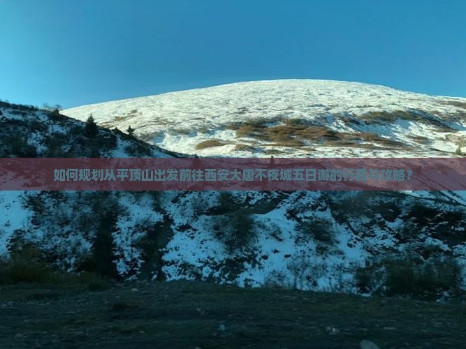 如何规划从平顶山出发前往西安大唐不夜城五日游的行程与攻略？