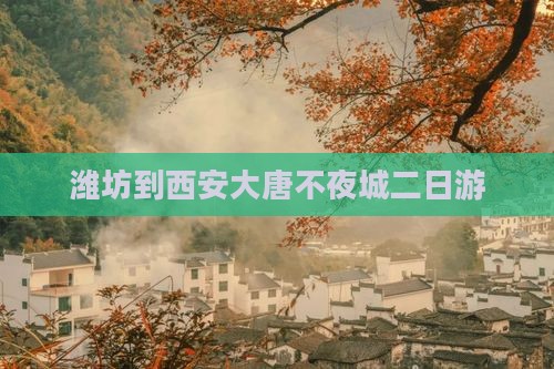 潍坊到西安大唐不夜城二日游