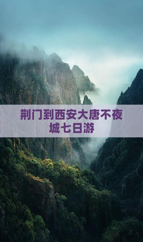 荆门到西安大唐不夜城七日游