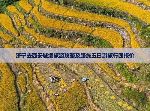 济宁去西安城墙旅游攻略及路线五日游旅行团报价