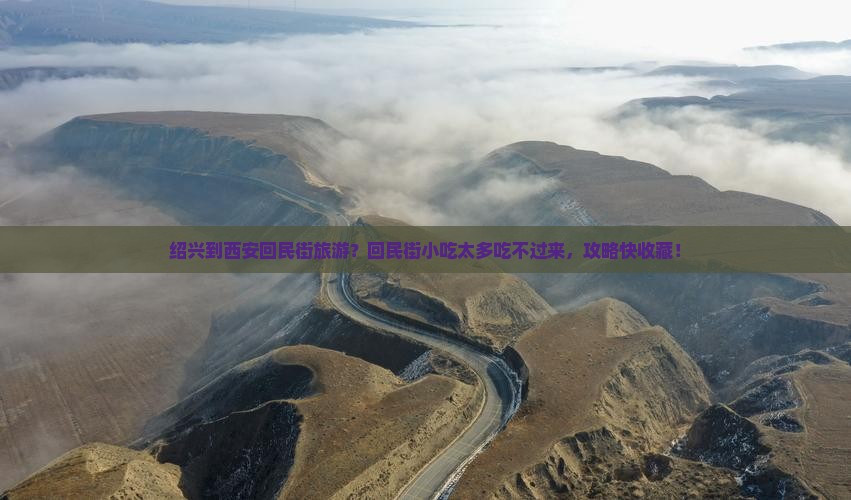 绍兴到西安回民街旅游？回民街小吃太多吃不过来，攻略快收藏！