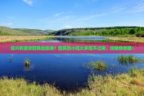 绍兴到西安回民街旅游？回民街小吃太多吃不过来，攻略快收藏！