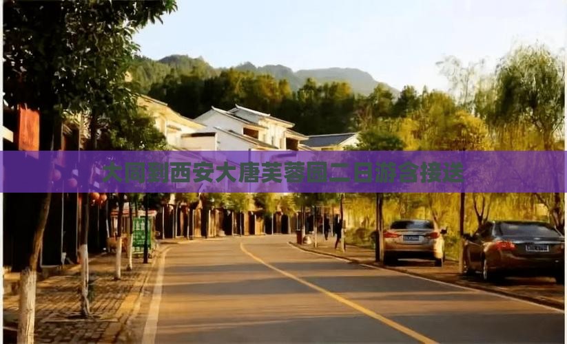 大同到西安大唐芙蓉园二日游含接送