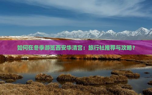 如何在冬季游览西安华清宫：旅行社推荐与攻略？