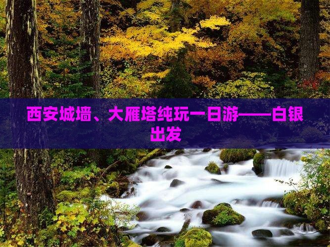 西安城墙、大雁塔纯玩一日游——白银出发