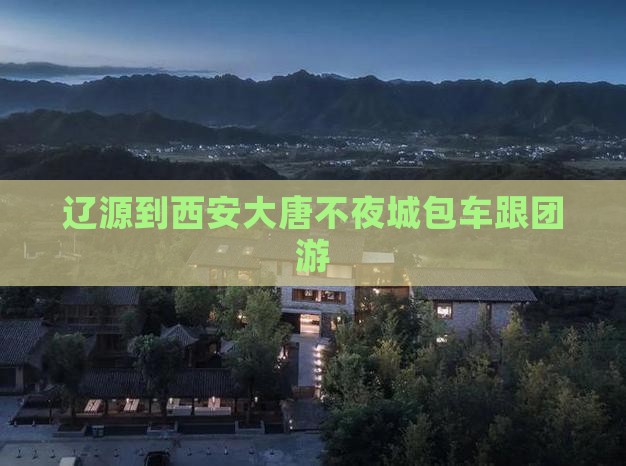 辽源到西安大唐不夜城包车跟团游