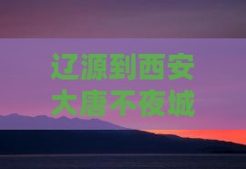 辽源到西安大唐不夜城包车跟团游