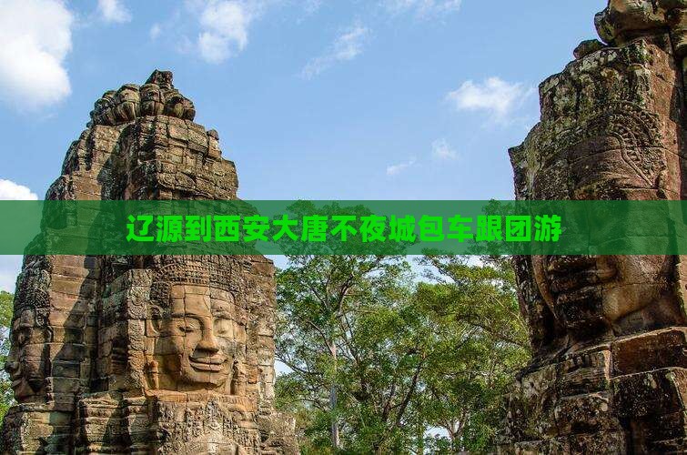 辽源到西安大唐不夜城包车跟团游