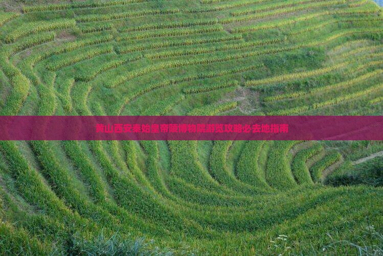 黄山西安秦始皇帝陵博物院游览攻略必去地指南