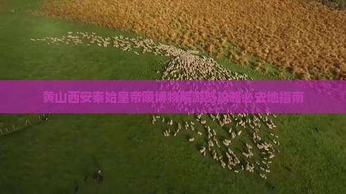 黄山西安秦始皇帝陵博物院游览攻略必去地指南