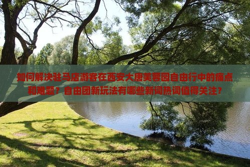 如何解决驻马店游客在西安大唐芙蓉园自由行中的痛点和难题？自由团新玩法有哪些新词热词值得关注？