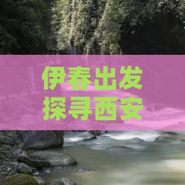 伊春出发探寻西安华清宫历史文化之旅