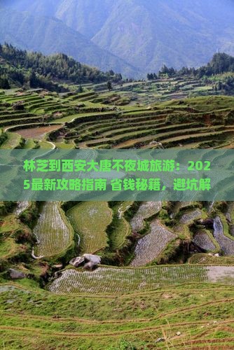 林芝到西安大唐不夜城旅游