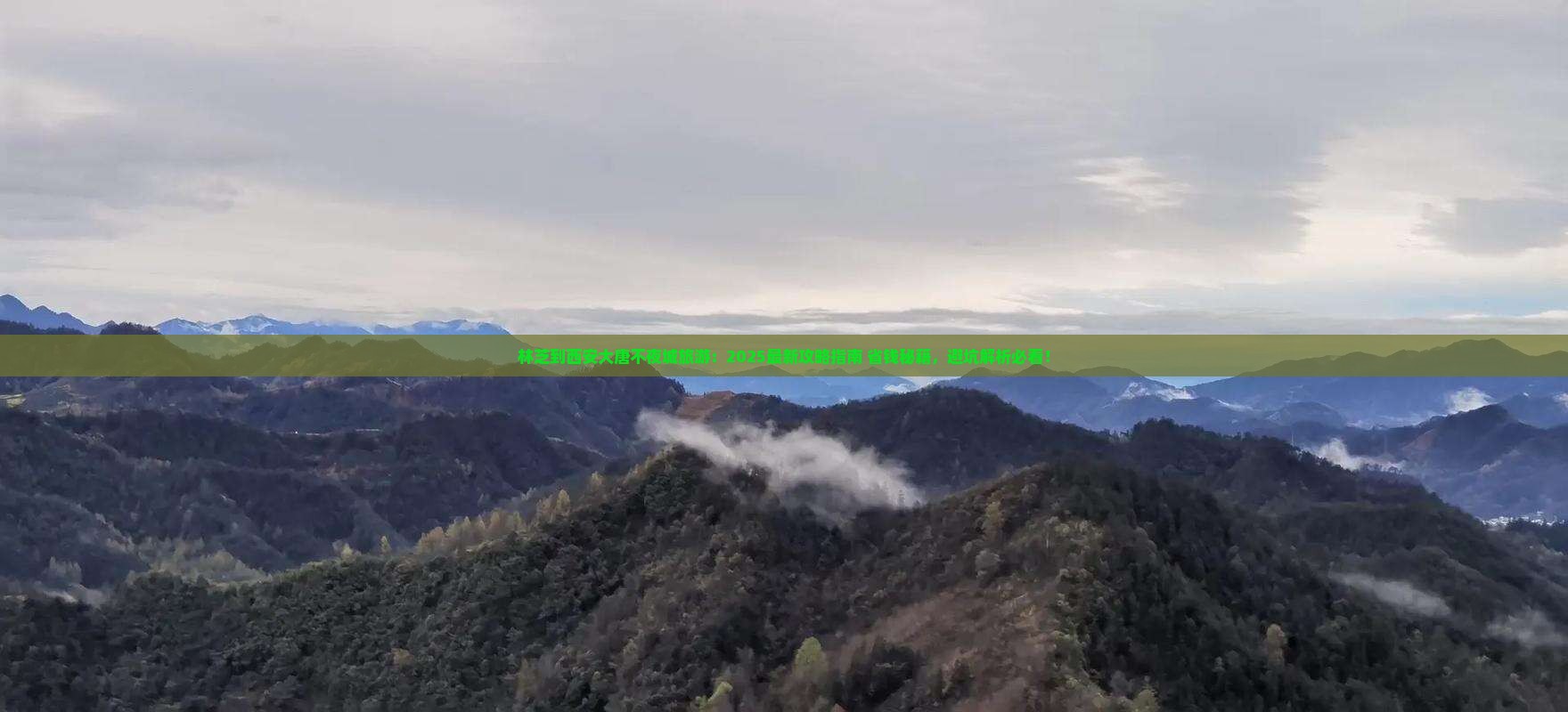 林芝到西安大唐不夜城旅游