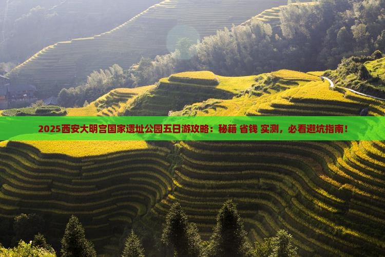 一月到西安大明宫国家遗址公园五日游